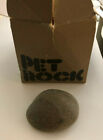 Original 1975 Vintage Pet Rock With Box and Nest 