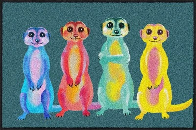 Salonloewe Fußmatte 050x075 cm Rainbow Meerkats - Bild 1 von 4