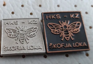 Apicoltura Società Skofja Loka api da miele Slovenia spille - Foto 1 di 1