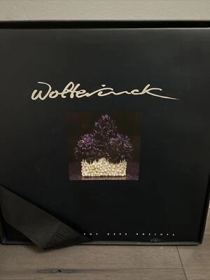 Wolterinck" 1997 ROELOFS, Cees [photography] Excellent Condition In Original Box - Image 1 of 4
