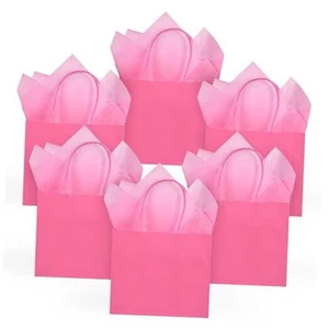 24 Stück kleine Mini Papier Geschenktüten mit Griffen 6x5x2,5 Zoll und Hot Pink - Bild 1 von 7