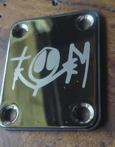 neck plate custom TOM DELONGE - Imagen 1 de 2