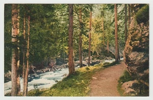 Pathway by the River in Switzerland - Art Painting - Postcard - New - 1950's NM - Picture 1 of 2