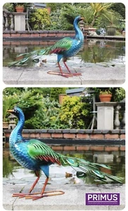 Primus Hand Painted Large Vibrant Peacock Stunning Garden Ornament Sculpture - Picture 1 of 3