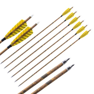 6/12 Carbon Arrows 30" SP500 Feathers Tips Compound Recurve Bow Hunting Target - Picture 1 of 13