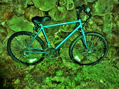 Road Master-cromo- bicicleta MTN para hombre 15 velocidades hecha en Estados Unidos de colección Foto 1 de 4