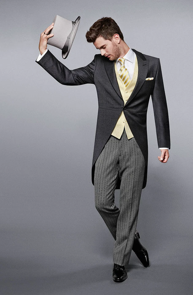 Cutaway Sakko & Hose im Mix Gr. 24 - 114 grau Wilvorst morningcoat Anzug Gehrock - Bild 1 von 3