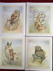 4 x Owl Prints by John Ball ready for framing or Craft New 