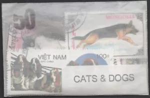 Thematic Packet 50 Different Cats and Dogs - Picture 1 of 1