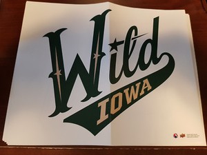 IOWA WILD 2017-18 UD AHL 10 X 8 TEAM MINI POSTER RARE BOX TOPPER 