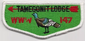 ORDEN DE LA SOLAPA DE FLECHA - TAMEGONITA - LODGE #147 - S1 - PRIMERA SOLAPA - Imagen 1 de 1