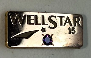 Wellstar Hospital 15 Jahre Mitarbeiterdienst Auszeichnung Anstecknadel Amethyst 10k CTO - Bild 1 von 6