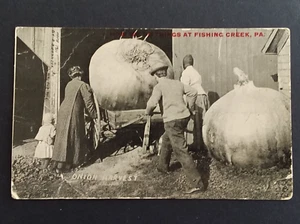 Postal vintage de cosecha de cebolla RPPC 1912 Cómo hacemos las cosas en Fishing Creek Pa - Imagen 1 de 2