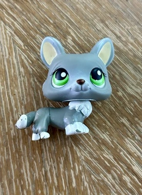 Littlest Pet Shop Auténtico # 367 Gris Blanco Corgi Ojos Verdes (cuello suelto) Foto 1 de 4