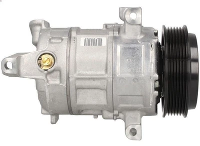 Compresseur, climatisation DENSO DCP09017 pour LANCIA MUSA (350_) 1.6 2008-2012 - Photo 1/4