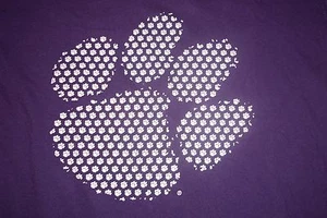 Nike Tiger Paw T-Shirt Purple Girls Boys Juniors Medium 12/14 - Picture 1 of 5
