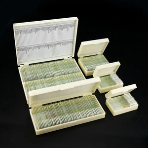 25-200pcs Glass Prepared Microscope Slides Specimen for Education w/ Box - Picture 1 of 34