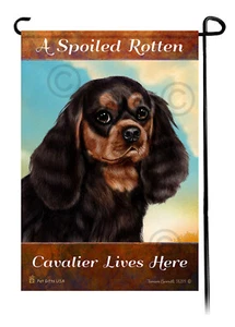 A Spoiled Rotten Black and Tan Cavalier King Charles Spaniel Lives Here - Picture 1 of 1
