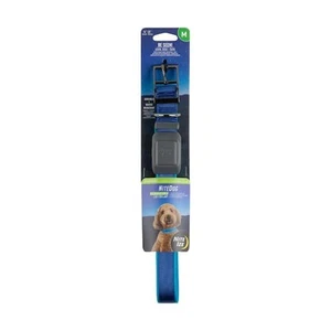 NiteDog - M - Blue/Blue Rechargeable LED Collar - Picture 1 of 8