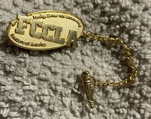 "FCCLA" GOLDFARBENE ANSTECKNADEL mit KETTE (FAMILIENKARRIERE & GEMEINDELEITER von AMERIKA) - Bild 1 von 5