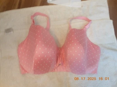 T - CACIQUE / 38H / BALCONETTE LIGERAMENTE FORRADO / LISO. ALAS / ROSA / LUNARES Foto 1 de 4