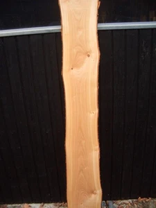 20 mm  deutsche Kirsche Kirschbaum  gehobelt 1,68 m / 15 cm kammertrocken - Bild 1 von 6