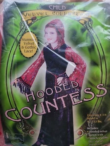 Girls Hooded Countess Halloween Renaissance Costume Size 4-6 - Picture 1 of 5