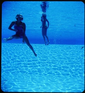 Cypress Gardens Underwater Swimmers - 1950s Stereo Realist 3D Slide #2001 - Picture 1 of 3