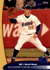 2008 Wilmington Blue Rocks Choice #26 David Wood New Braunfels Texas TX Card