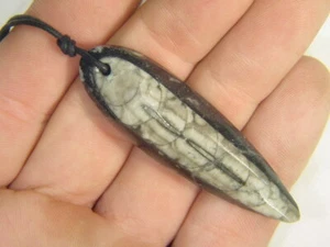 PERO Orthoceras Nautiloide fósil colgante collar 1656E - Imagen 1 de 2