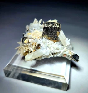 ***SUPERB-Top Shelf Quality Pyrrhotite & Quartz crystals, Dalnegorsk Russia*** - Imagen 1 de 9