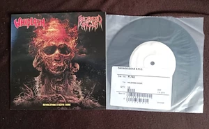 Whiplash - Released Anger –Revolution Starts Here TEST PRESSING Ltd to 10 Copies - Picture 1 of 3