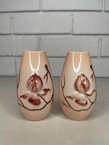 VTG Carlton Ware Pink Magnolia Salt And Pepper Shaker Set Ceramic Mid Century - Foto 1 di 9