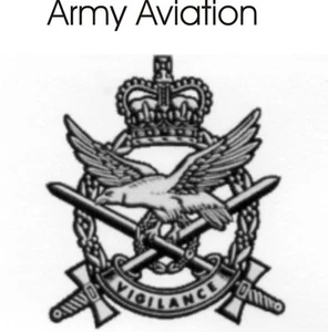 Army Avation Sticker - Picture 1 of 1