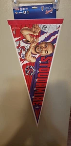 TORONTO RAPTORS DAMON STOUDAMIRE VINTAGE FELT PENNANT 6/1/22 - Picture 1 of 3