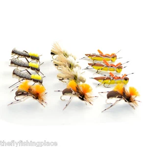 Grasshopper Trout Flies Assortment Dropper Hopper Foam Body 12 Flies 4 Patterns - Picture 1 of 1