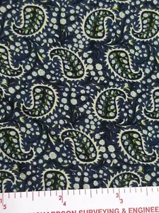 BTHY Windham Fabrics BOMBAY 100% Cotton Blues Greens Paisley 19456-8 - Picture 1 of 4
