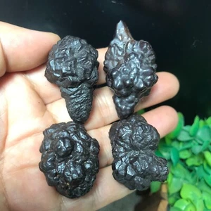 109g 4pcs Limonite & Hematite pseudomorph after Marcasite - Prophecy Stone 134 - Picture 1 of 14