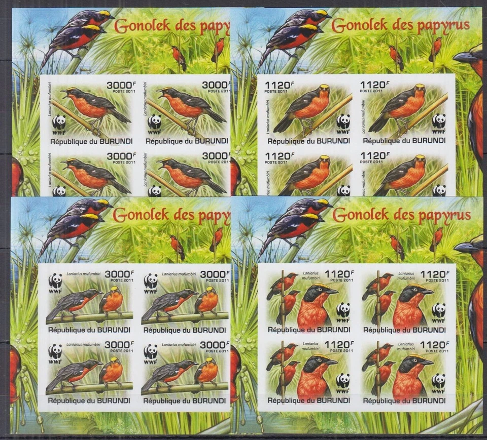 ST1323I4. Burundi - MNH - Birds - WWF - imperf - Image 1 of 1