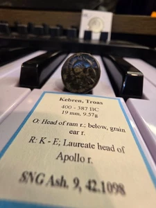 kebranh. Trous 400-387 bchead of Ram abajo, espiga de grano antigua - Imagen 1 de 2