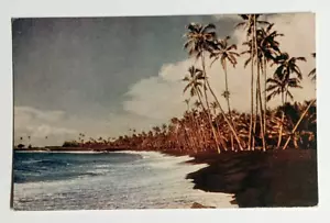 Cartolina Kalapana Beach sabbia vulcanica nera palma Hawaii HI Wesco c1940s C55 - Foto 1 di 2
