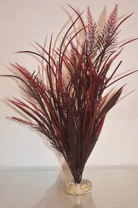 Acquario Felce Rossa Base Erba e Ciottoli 6 x 6 x 38 cm Design Paesaggio - Foto 1 di 2
