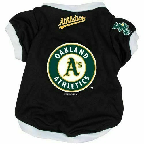 Camisa de beisebol OAKLAND A'S Athletics cão gato alternativa grande extra grande - Imagem 1 de 1