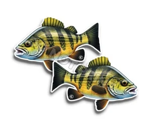 Pegatinas de vinilo de pescado perca PESCA excelentes calcomanías de animales al aire libre c35023 paquete de 2 - Imagen 1 de 2