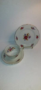 3PC C.MIELOW Made In POLAND Floral China Cup, Saucer and Desert Plate - Picture 1 of 6