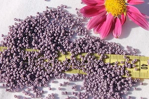 Cuentas de semillas de malva oscura francesa vintage de vidrio antiguo 11/0 1 oz - Imagen 1 de 1