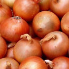 Seeds Onion Giant Chalcedony Vegatable Organic Heirloom NON-GMO Ukraine