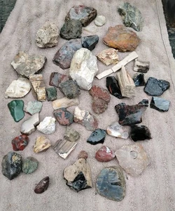 Seltene rohe Oregon Rock Mix Achate versteinerte Holzkristalle Jaspis 7 Pfund Tumbling - Bild 1 von 11