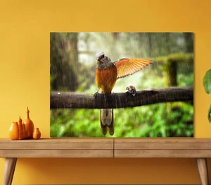 A Nice Bird 5mm thick Plastic Poster Ready to Hang 60x45cm - Bild 1 von 3