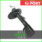 Fits Toyota Highlander (Nap) Shock Absorber Front Right Gas.Twin Tube - Asu40,Gs
